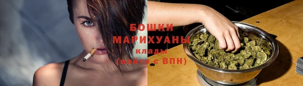 ALPHA-PVP Осинники