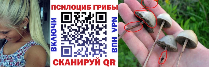 Псилоцибиновые грибы Magic Shrooms  Краснодар 
